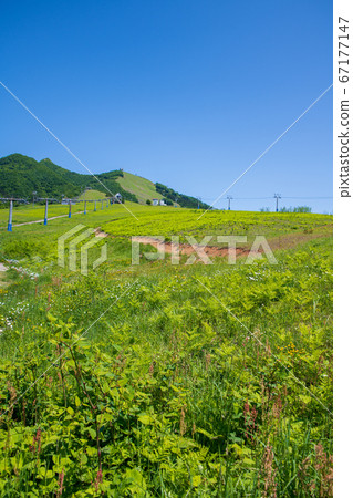 新潟縣湯澤町石山 67177147