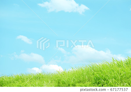 Natural scenery along the sky prairie bank Natural scenery along the sky prairie bank 67177537