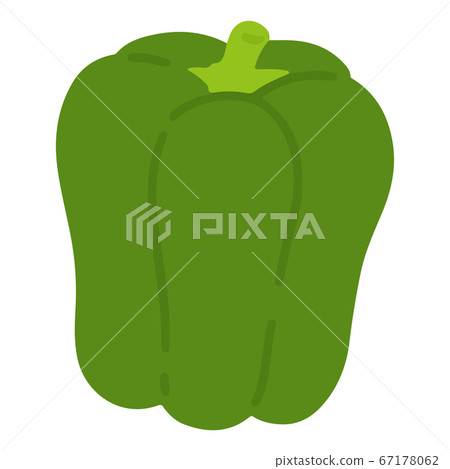 沒有乾線的綠色甜椒的插圖 67178062