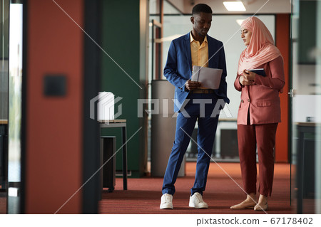 Ethnic Business People Speaking in Modern Office Interior Ethnic Business People Speaking in Modern Office Interior 67178402
