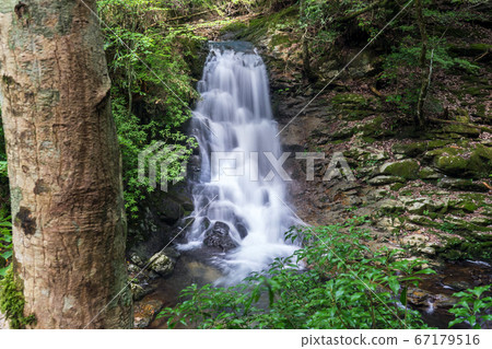 甘洞瀑布（赤目谷） 67179516