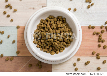 狗糧寵物食品的形象 67180473