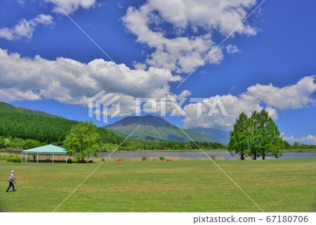 Reisenko Shiba Square in the refreshing early summer Reisenko Shiba Square in the refreshing early summer 67180706