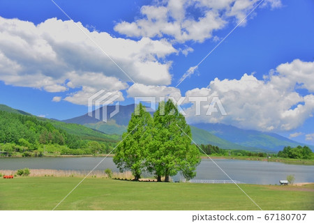 Refreshing early summer Iizuna Higashi Kogen Refreshing early summer Iizuna Higashi Kogen 67180707
