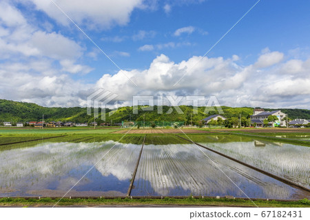 水稻種植後稻田中反映出的城市景觀和天空 水稻種植後稻田中反映出的城市景觀和天空 67182431