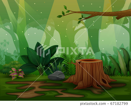 Background scene with tree stump in the forest Background scene with tree stump in the forest 67182799