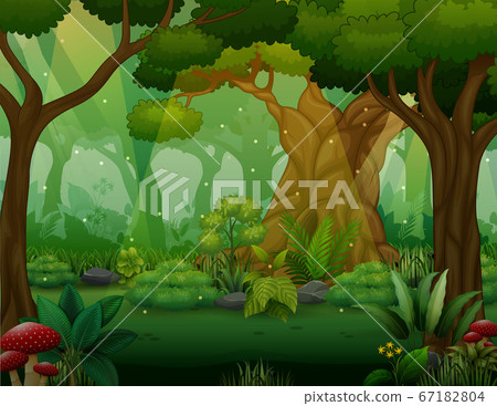Illustration of bushes trees at the forest 67182804