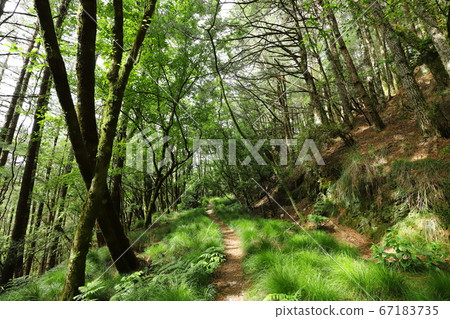 中央山脈北二段登山健行 67183735