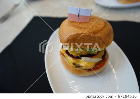 Los Angeles Hollywood 67184516