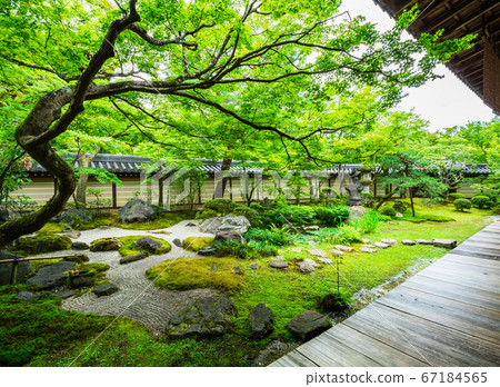 京都永觀堂禪林寺 67184565