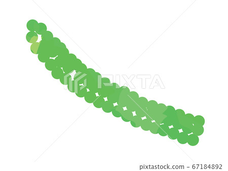 Illustration of sea grapes 67184892