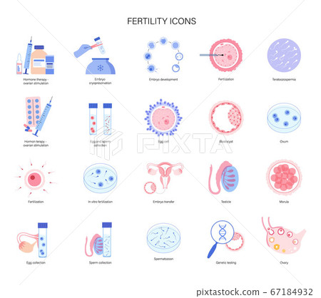 Reproductive system concept 67184932