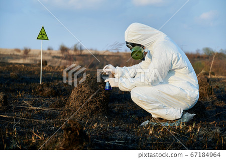Scientist exploring flora and soil at burnt field. 67184964