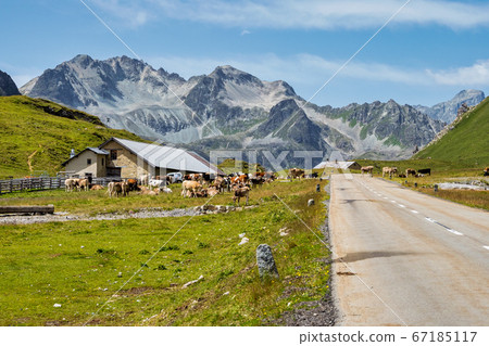 View of the albula pass in grisons, switzerland, 67185117