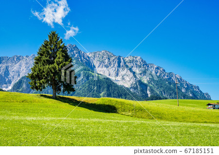 Landscape view near Lake Walchsee near Koessen in 67185151