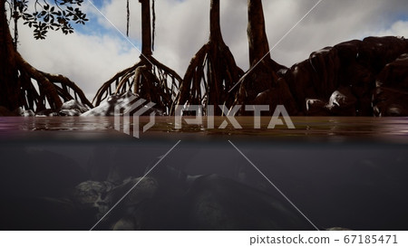 Above and below the sea surface near mangrove 67185471