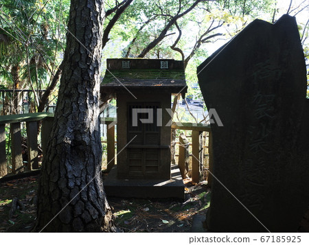 第三代松樹密松安妙福寺 第三代松樹密松安妙福寺 67185925