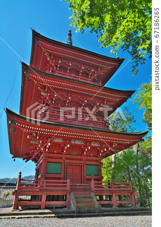 [Kashiwara Hachimangu] Kashiwara, Kashiwara Town, Tamba City, Hyogo Prefecture 67186265