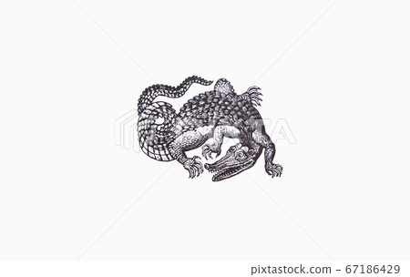 19世紀末法國復古插畫 67186429