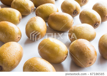 即食黃金奇異果 即食黃金奇異果 67186585