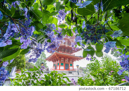 Takahata Fudosumi's five-storied tower and hydrangea Takahata Fudosumi's five-storied tower and hydrangea 67186712