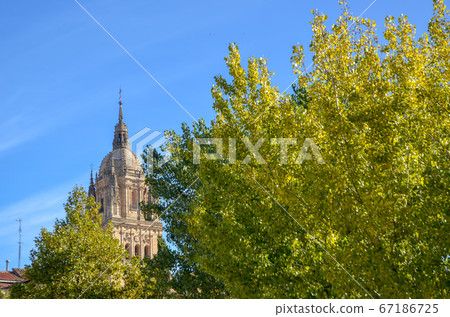 Autumn Salamanca Cathedral and the trees that change colors (Salamanca, Spain) 67186725