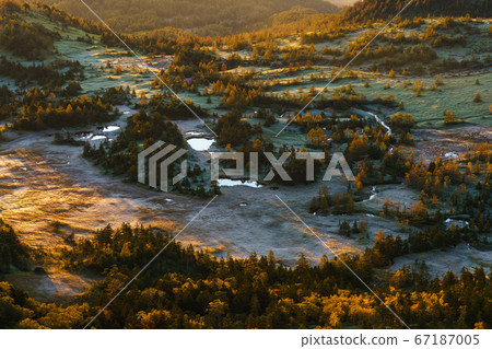 Hagadaira沼澤的早晨 67187005