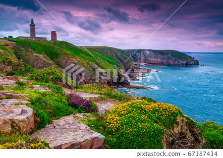 Wonderful rocky and flowery coastline with lighthouse, Cap Frehel, France Wonderful rocky and flowery coastline with lighthouse, Cap Frehel, France 67187414