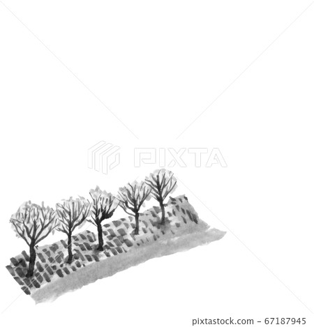 Roadside tree seen from above (hand-drawn illustration of ink) 67187945