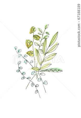 植物 植物 67188189
