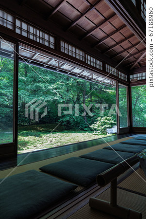 A view of the fresh green garden A view of the fresh green garden 67188960