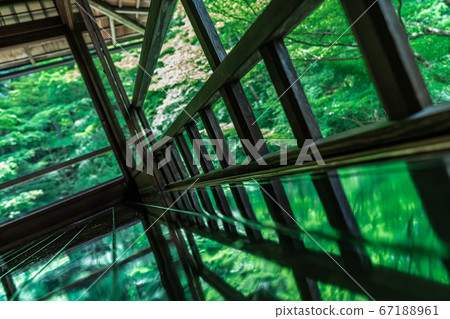 新鮮的綠色地板 新鮮的綠色地板 67188961