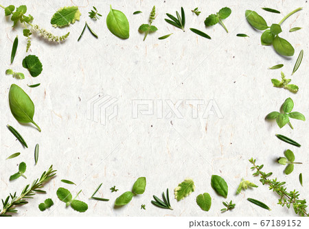 Natural Japanese paper background, 4 freshly picked herbs, mint, basil, rosemary and thyme 67189152