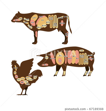 Beef, pork, chicken hormone parts illustration Beef, pork, chicken hormone parts illustration 67189388