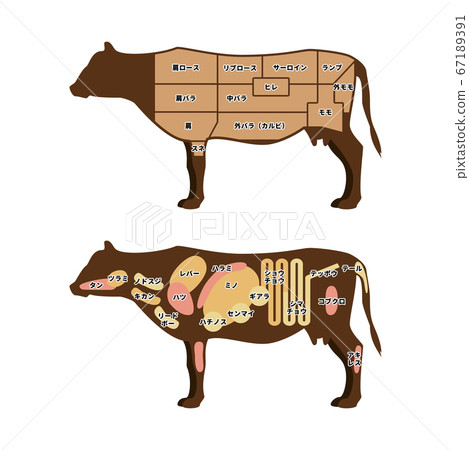 Beef part illustration 67189391