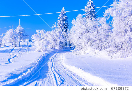 Winter landscape from Sotkamo, Finland. 67189572