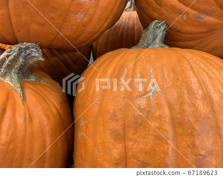 Halloween pumpkin store in hongkong Halloween pumpkin store in hongkong 67189623