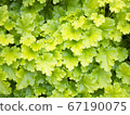 Hukegla 67190075