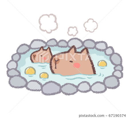 水豚在柚子浴 插圖素材 圖庫