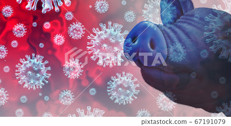 Swine Virus Swine Virus 67191079