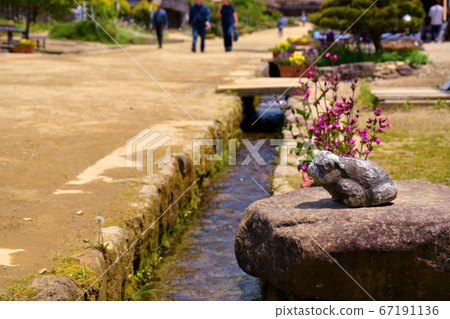 Frog ornament Frog ornament 67191136