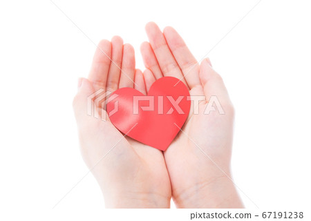 Hand holding a heart 67191238
