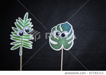 image of paper plant dark background  67192113