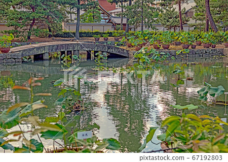 京都崇光寺法政池和天海橋 67192803
