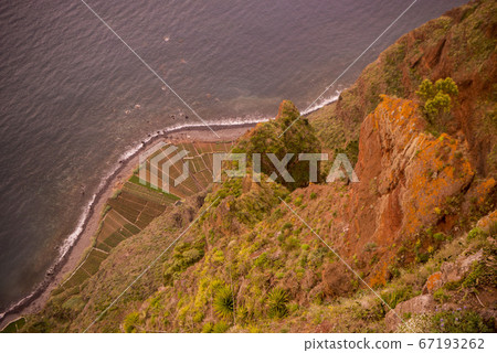 PORTUGAL MADEIRA PONTA DO SOL AGRICULTURE PORTUGAL MADEIRA PONTA DO SOL AGRICULTURE 67193262