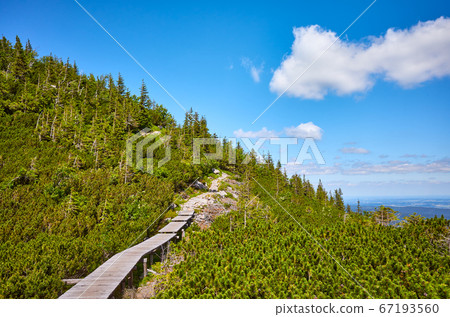 Mountain wooden bridge trail in Karkonosze 67193560