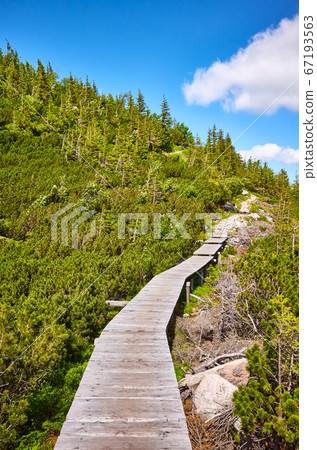 Mountain wooden bridge trail in Karkonosze 67193563