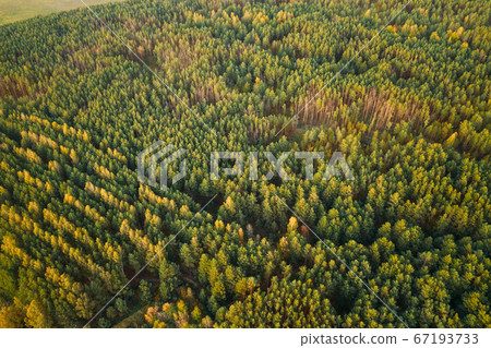 Aerial View Of Green Forest Landscape. Top View From High Attitude In Autumn Evening. Natural Backdrop Background Of Deciduous Forest. Drone View. Bird's Eye View Aerial View Of Green Forest Landscape. Top View From High Attitude In Autumn Evening. Natural Backdrop Background Of Deciduous Forest. Drone View. Bird's Eye View 67193733