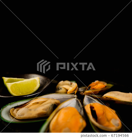 New Zealand greenshell mussels 67194566