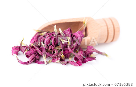 Dried Echinacea flowers on wooden spoon, isolated 67195398